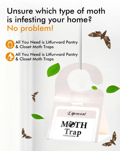 Litfurward pheromone-infused traps attract male moths to disrupt breeding cycles naturally.