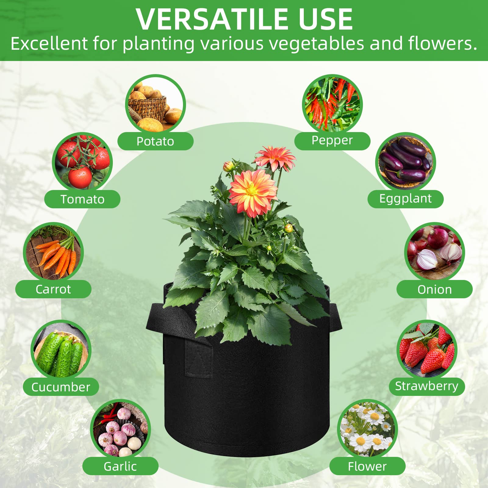 Litlandstar garden setup demonstrates flexible arrangement and spacing