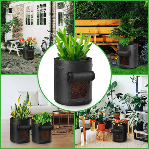 LITLANDSTAR multi-plant container on a balcony illustrating versatility