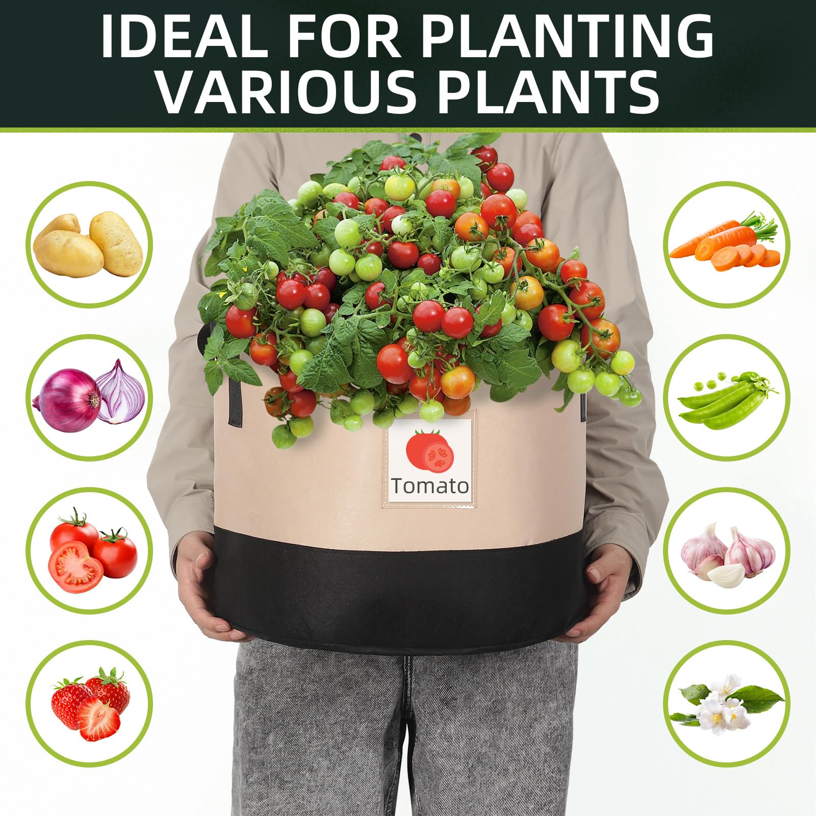 LITLANDSTAR transparent label pocket helps identify seedlings at a glance.