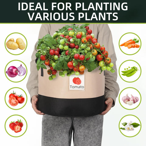 LITLANDSTAR transparent label pocket helps identify seedlings at a glance.