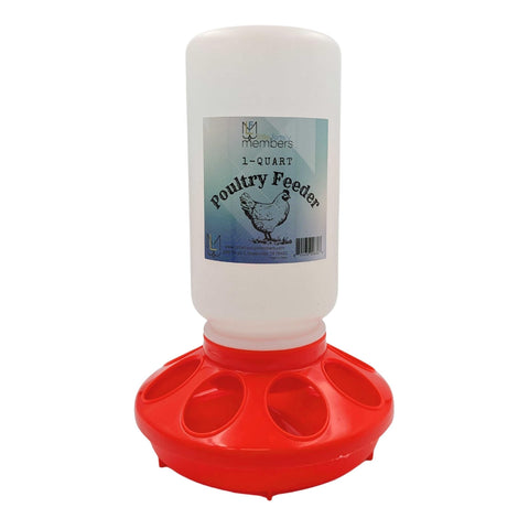 Little Family Members Chick Feeder 1qt front view shows compact capacity for small chicks and quail.