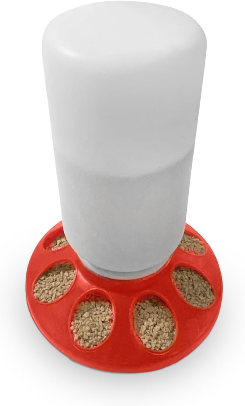 Little Family Members Chick Feeder 1qt easy-clean plastic supports regular refills with minimal effort.