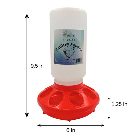 Little Family Members Chick Feeder 1qt twist-on design enables quick setup and easy maintenance.