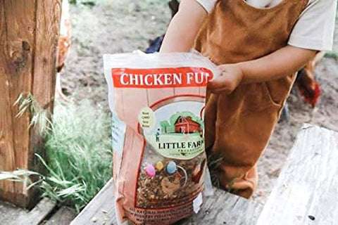 Little Farmer Chicken Fun-DOO backyard coop scene with hens.