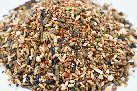 Little Farmer Chicken Fun-DOO mealworms blend for protein and energy.