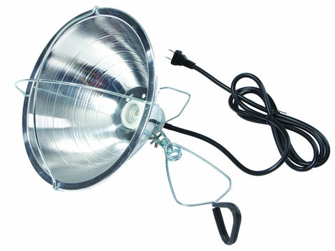 Little Giant Brooder Reflector Lamp, 10.5 inch shade, focused warmth for newborn chicks.