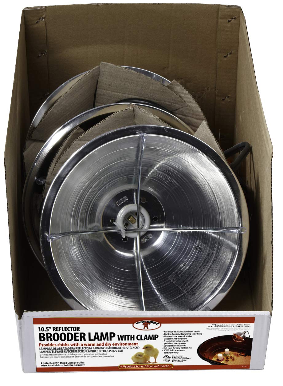Little Giant lamp showing corrosion-resistant shade for lasting poultry warmth.
