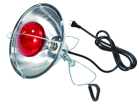 Little Giant Brooder Lamp with a 6-foot cord and adjustable clamp for flexible heat placement.