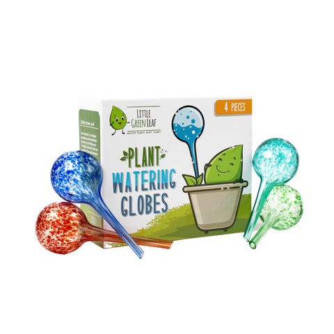 Little Green Leaf auto-watering globes set of four for effortless indoor plant care.
