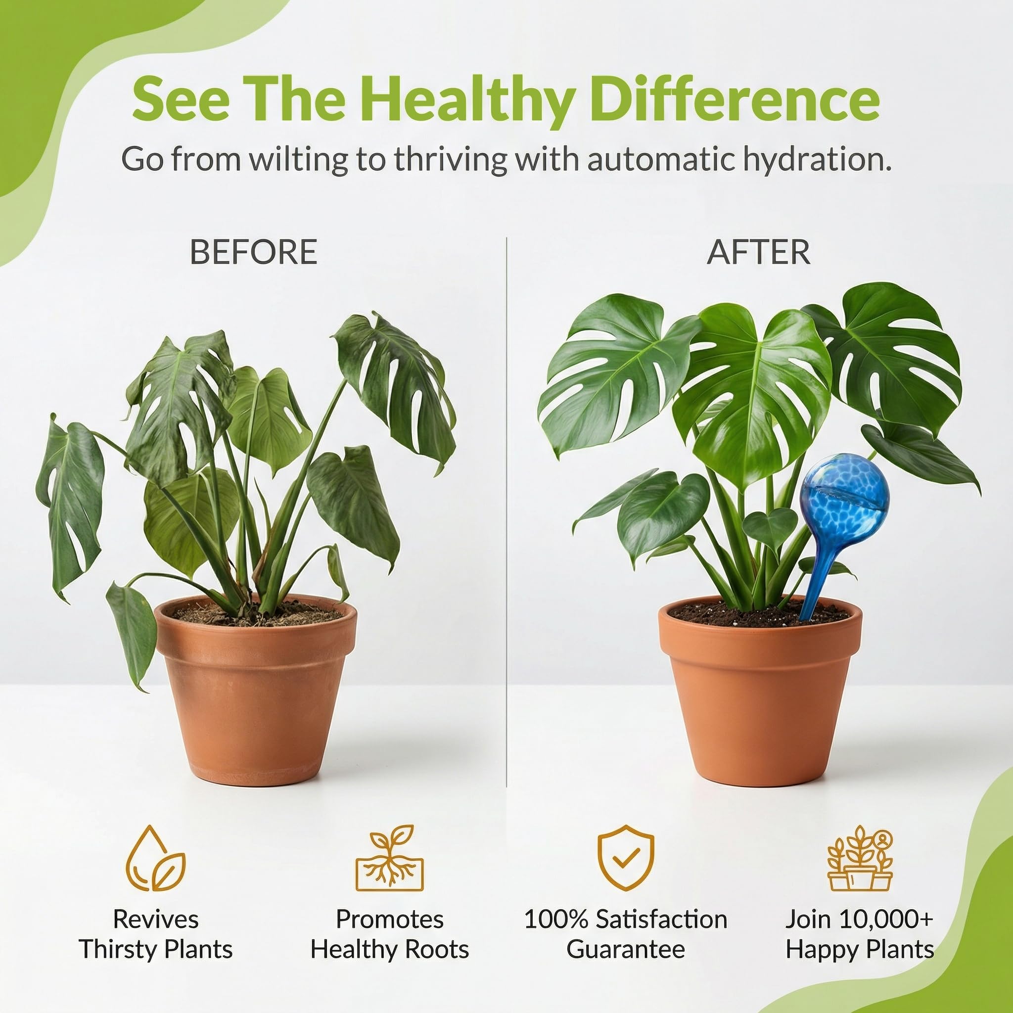 Little Green Leaf glass watering bulbs for indoor and outdoor plants providing steady moisture