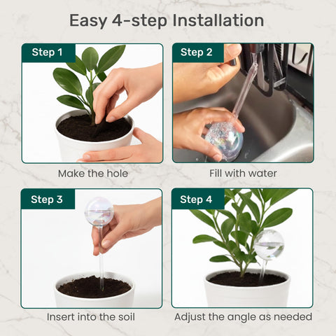 Little Green Leaf glass watering system ensuring hydration for up to 14 days