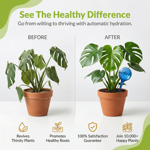 Little Green Leaf hand-blown glass bulbs showcase vibrant color while delivering steady moisture.