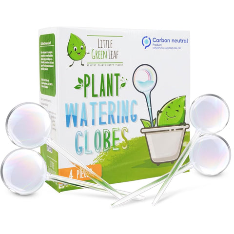 Little Green Leaf watering globes with clear glass bulbs on a plant for easy indoor hydration