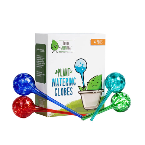 Little Green Leaf watering globes in multicolor glass bulbs maintain soil moisture for indoor plants.