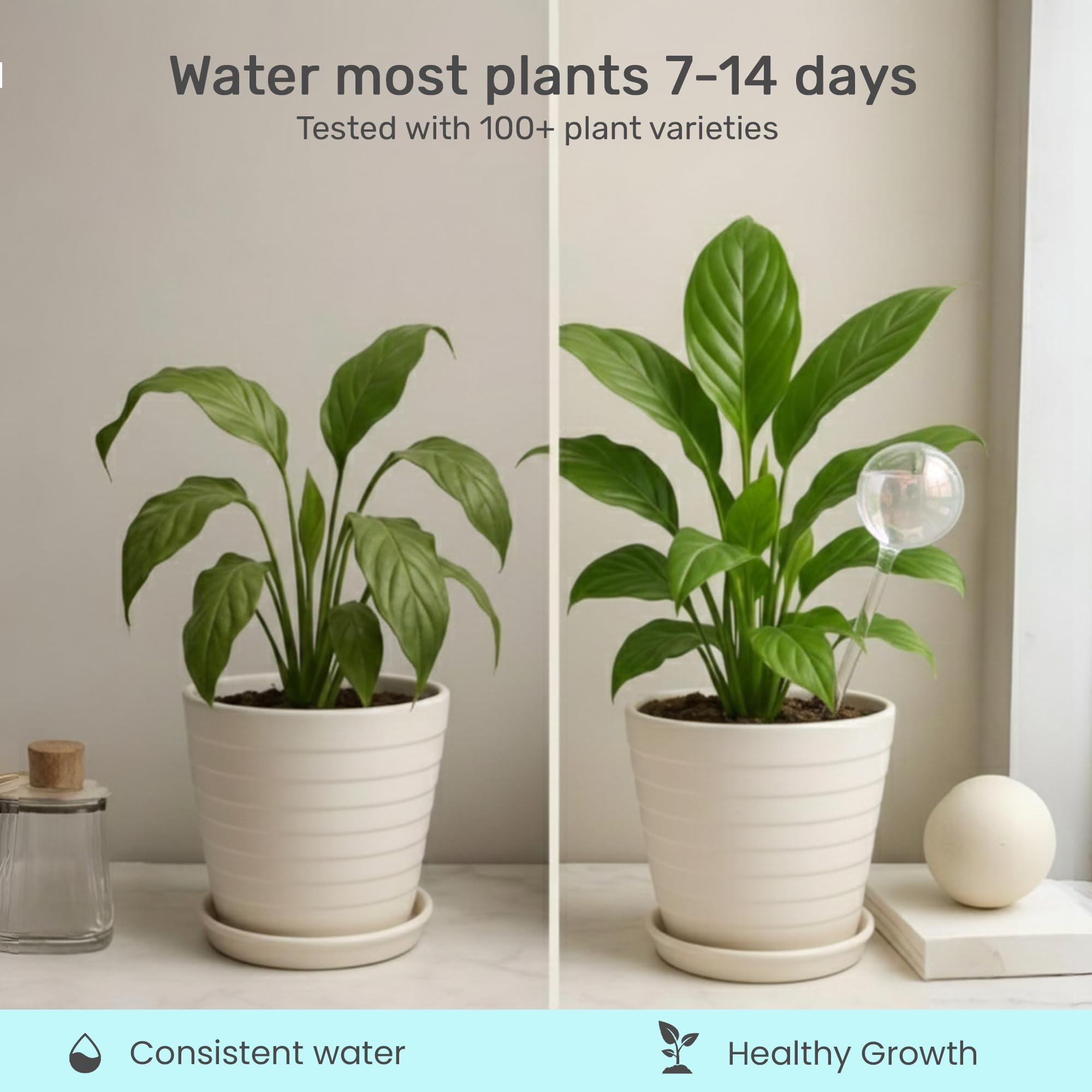 Little Green Leaf watering spikes supporting indoor and outdoor pots