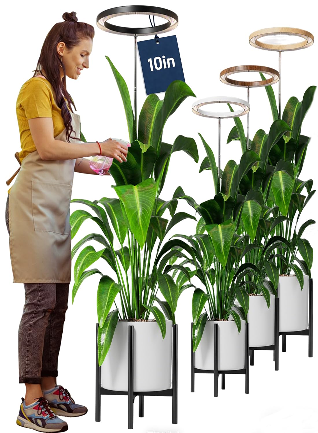 Little Joke 10-inch grow light ring over a large plant promoting growth