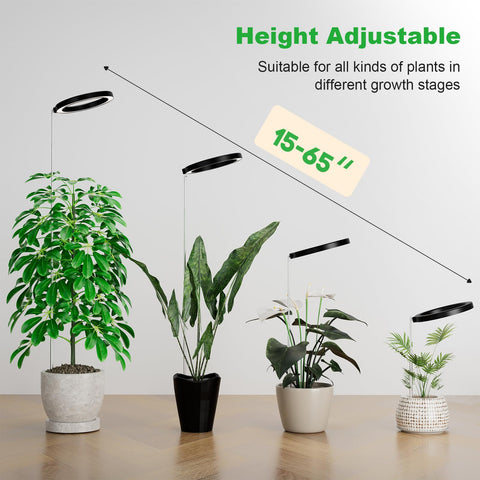 Little Joke room-ready lamp adds decor while supporting plant growth