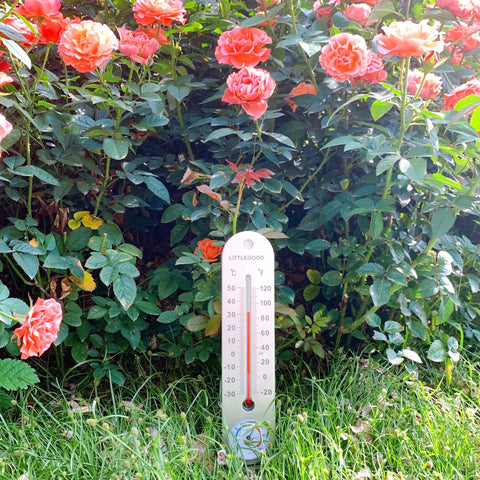 LittleGood dual-scale readings in Celsius and Fahrenheit simplify interpretation