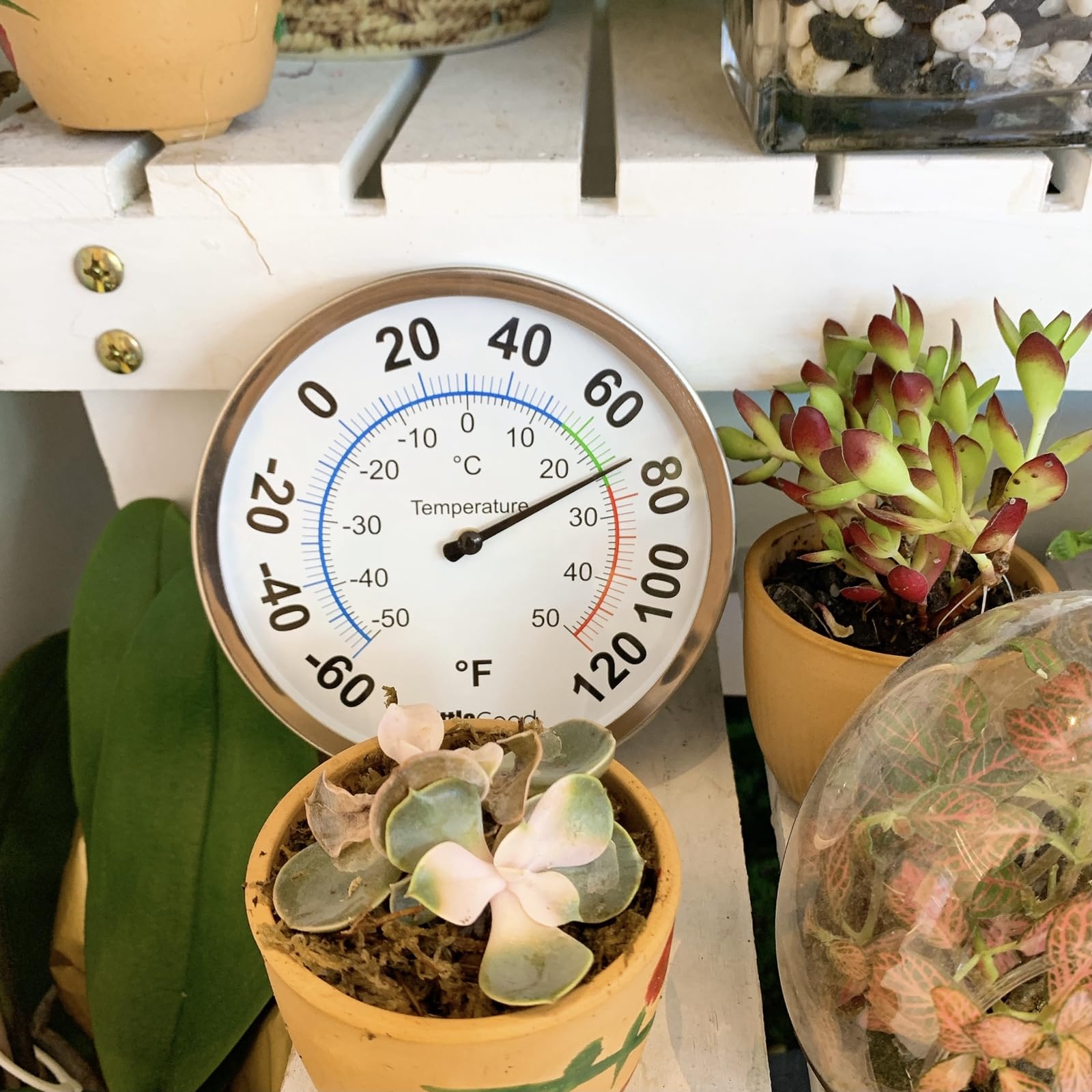 LittleGood glass-face thermometer with large numbers ideal for easy reading.