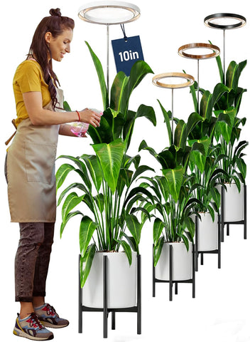 Little Joke 10-inch grow light ring front view showing even indoor plant coverage