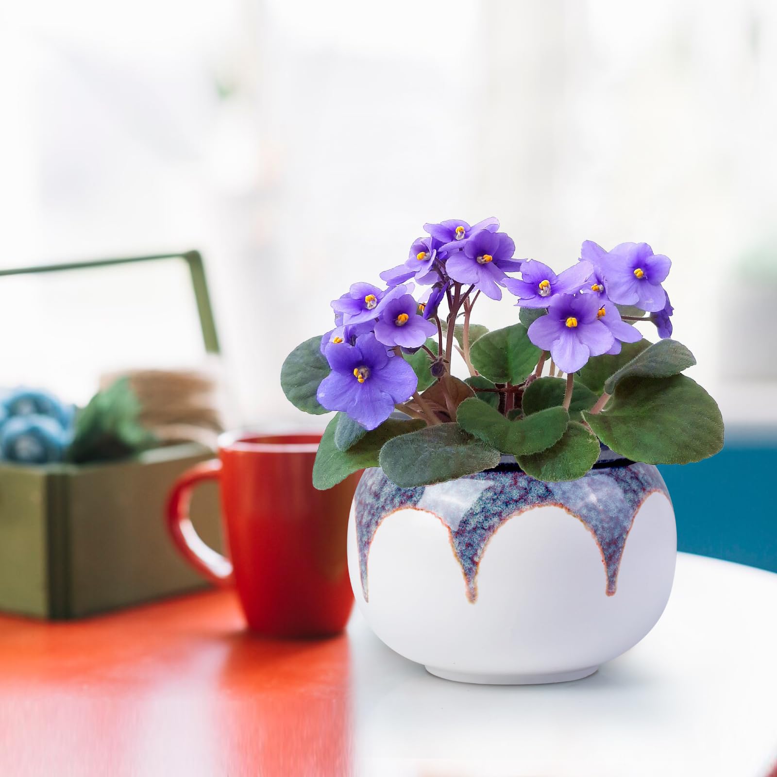 LITUDISO 6-inch pot promotes healthy roots with bottom micro-holes.