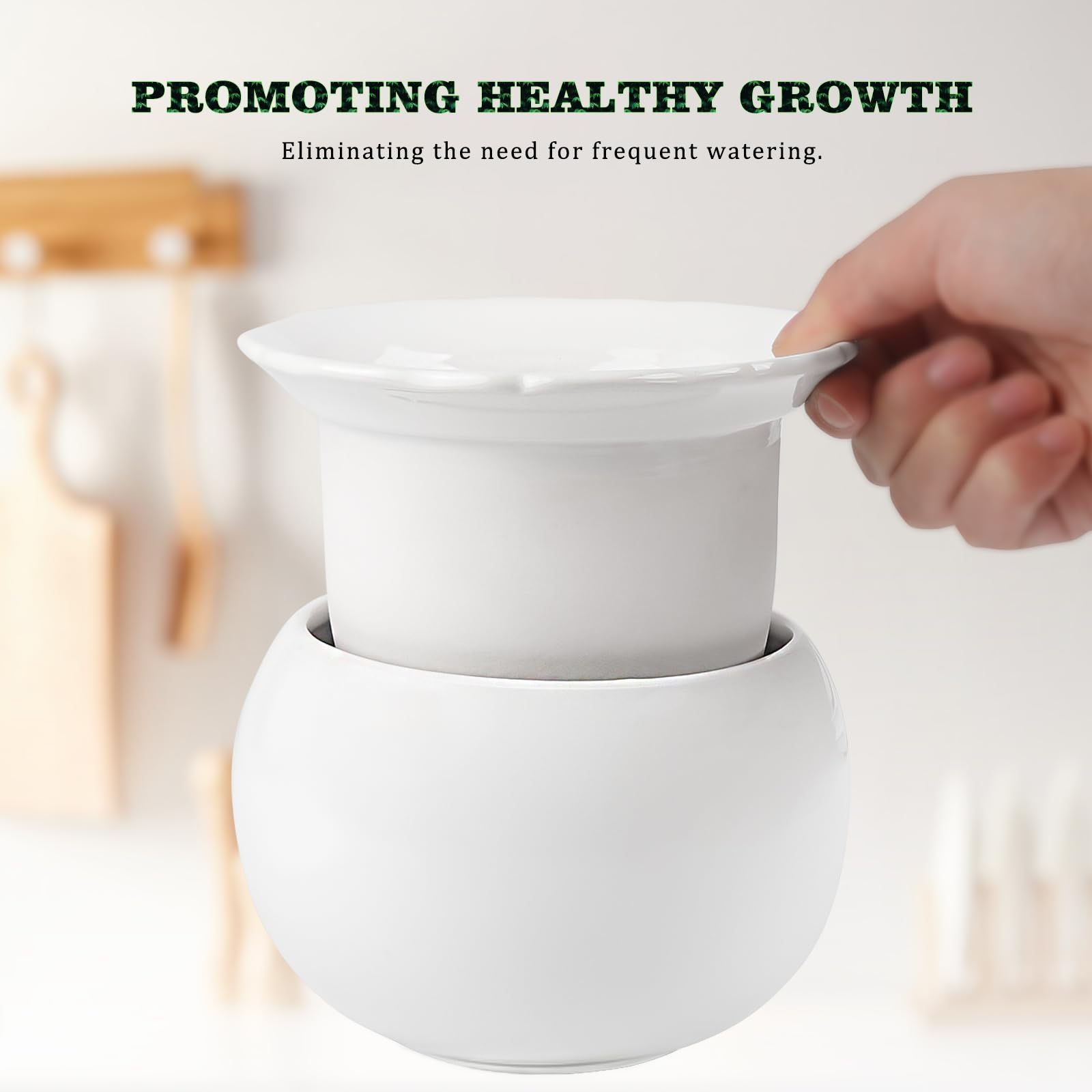 LITUDISO inner-dolomite absorbent layer supports moisture delivery to roots