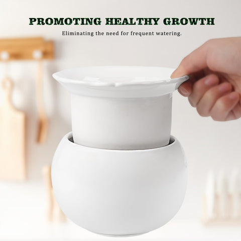 LITUDISO inner-dolomite absorbent layer supports moisture delivery to roots