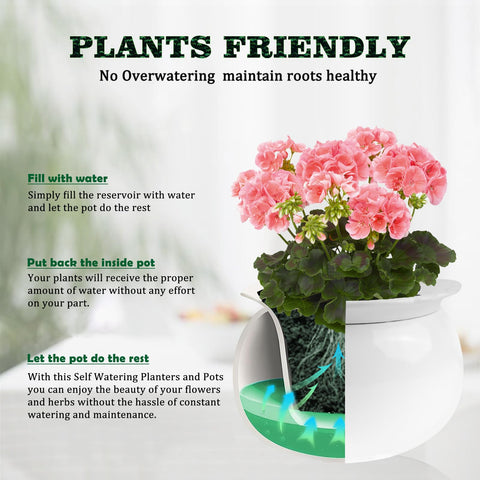 LITUDISO pot bottom-water reservoir highlights bottom-up watering for healthier roots