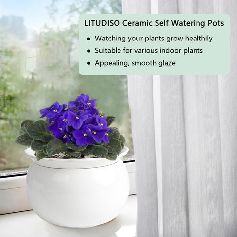 LITUDISO built-in reservoir enables low-maintenance watering
