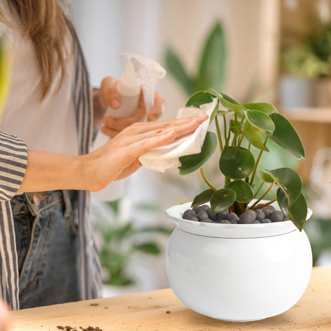 LITUDISO bottom drainage design promotes healthy root oxygen access