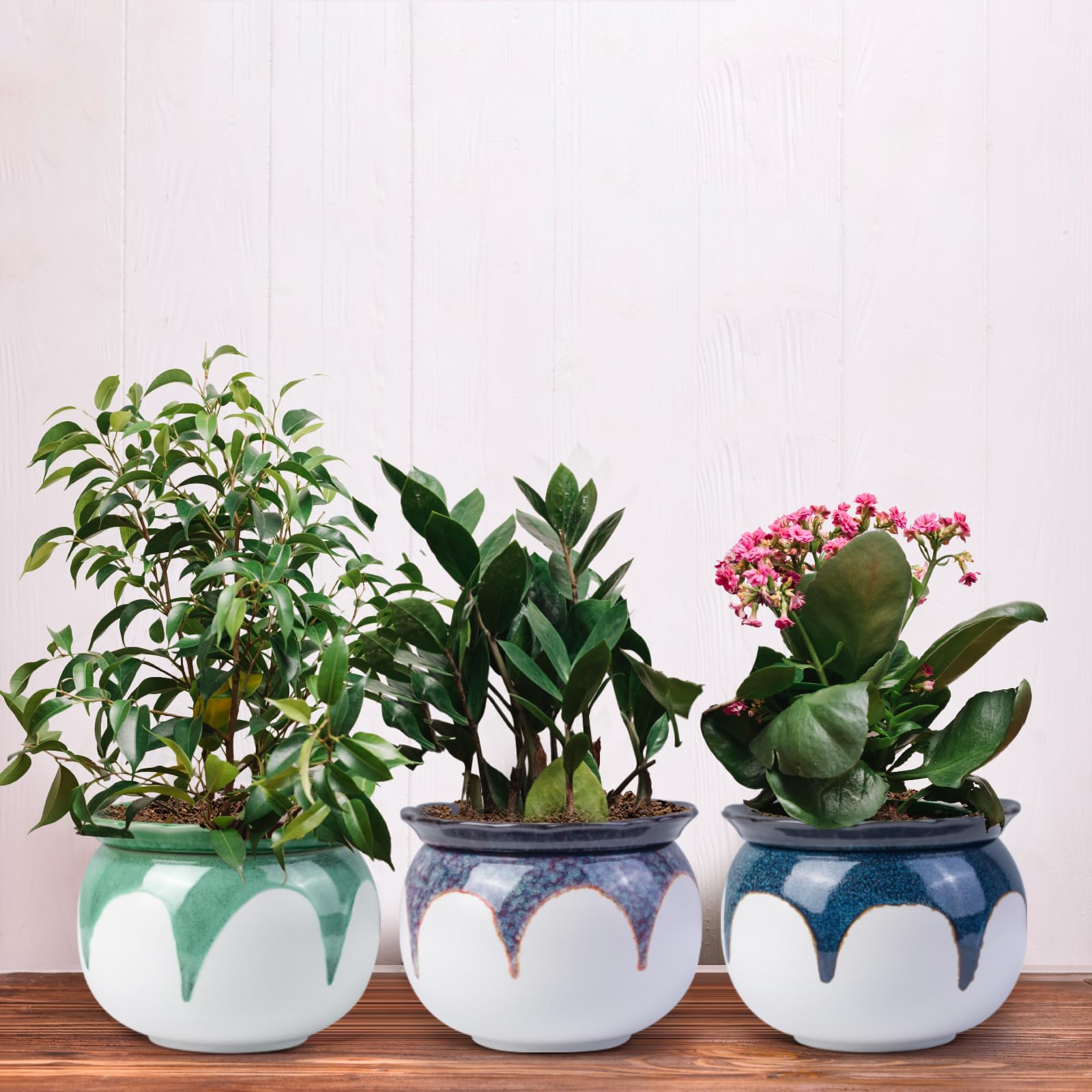LITUDISO gradient red pot reduces watering frequency for busy homes.