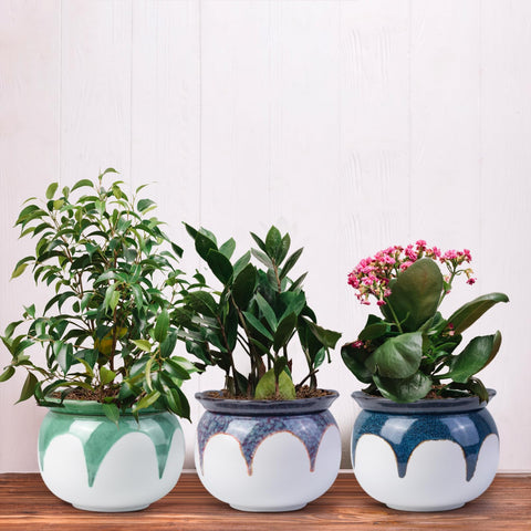 LITUDISO gradient red pot reduces watering frequency for busy homes.