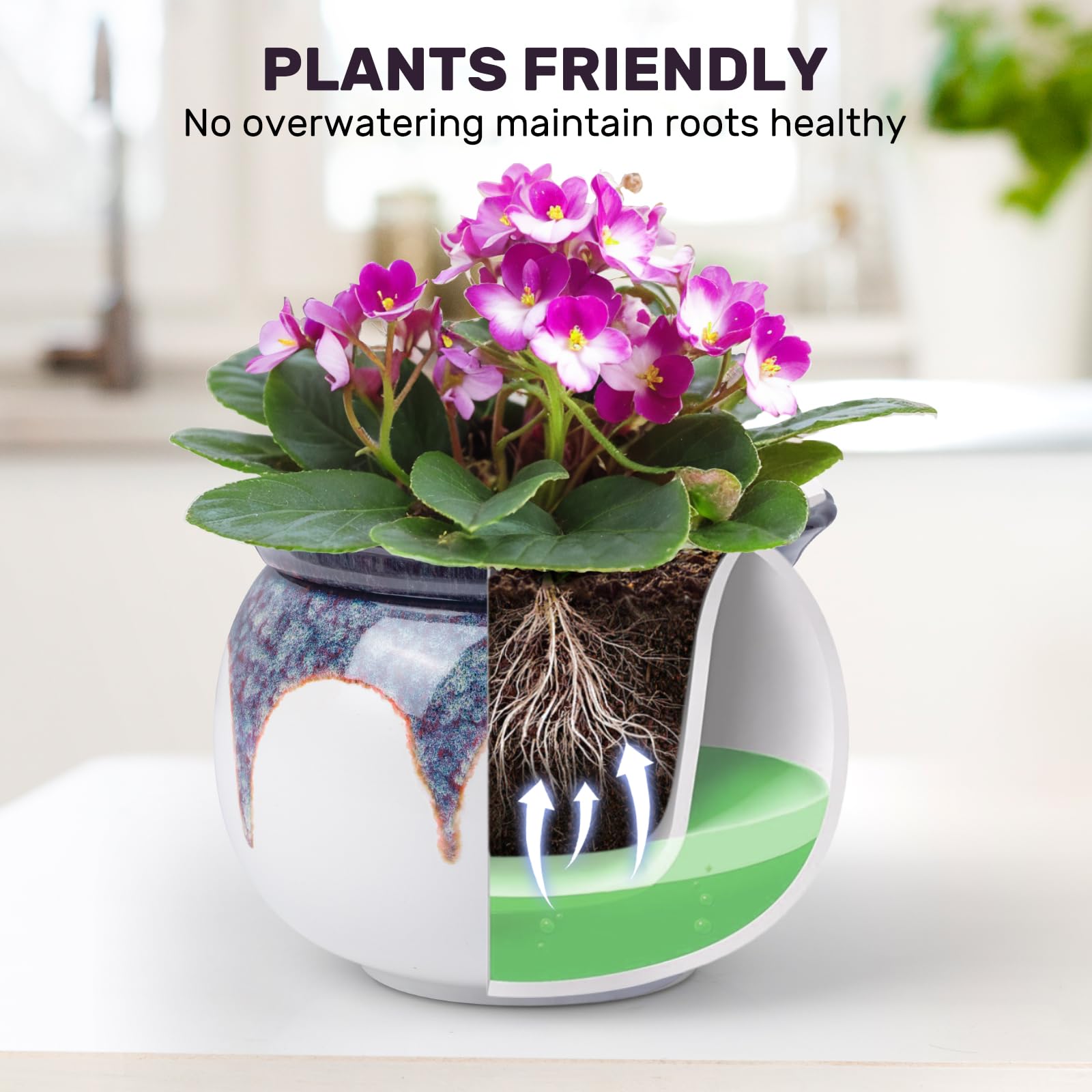 LITUDISO self-watering pot with water reservoir supports steady moisture.