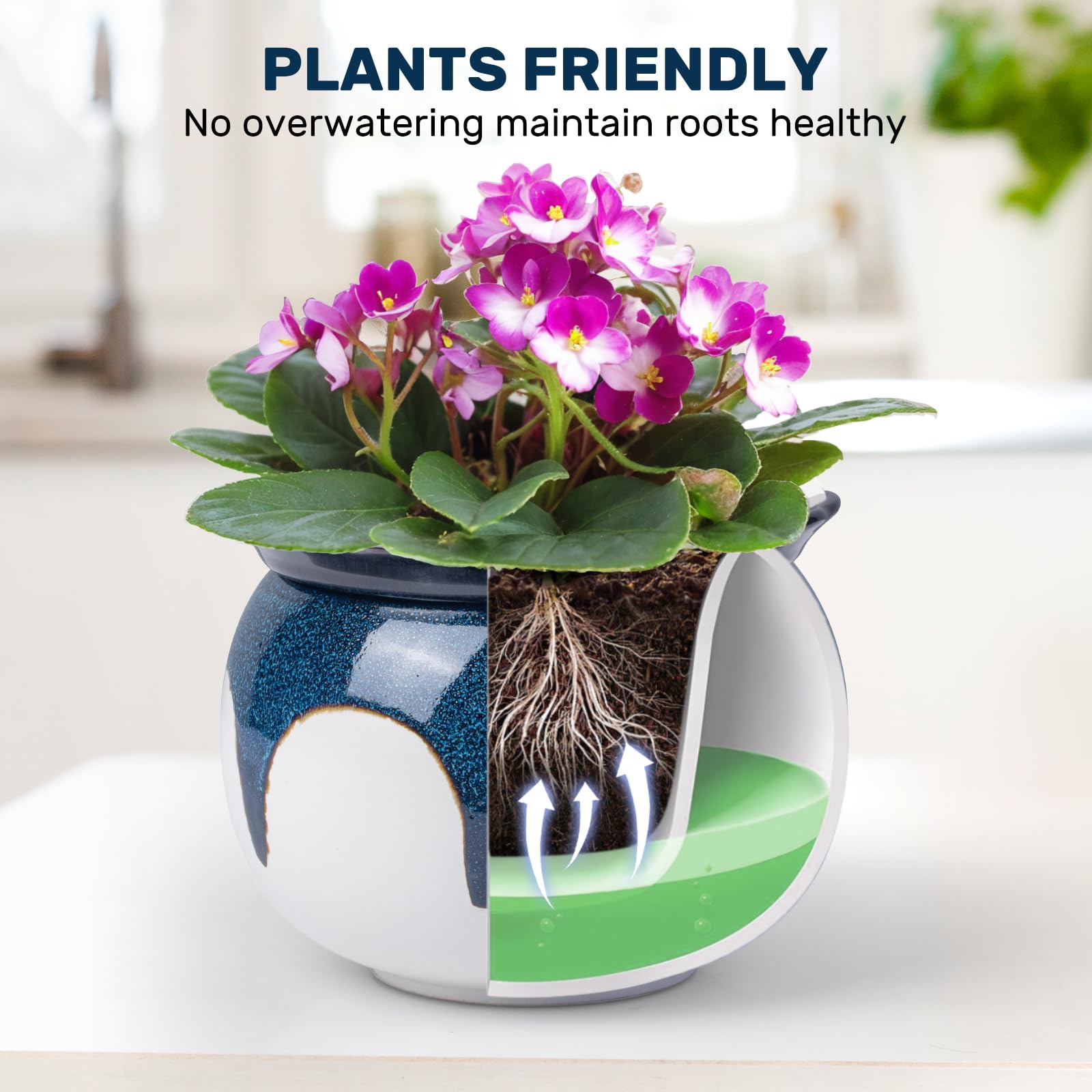 LITUDISO self-watering reservoir image, steady moisture for indoor plants