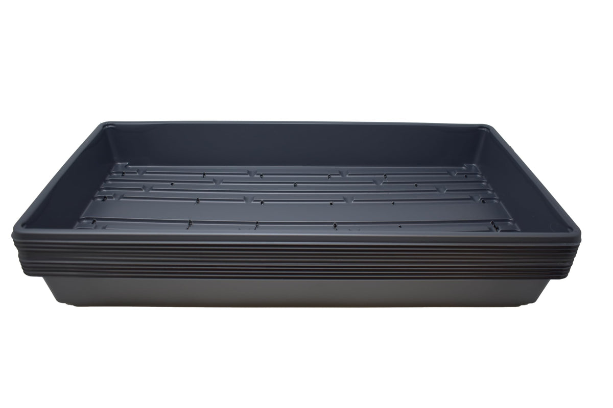 Living Whole Foods 10-tray top view, durable seed starter for microgreens.