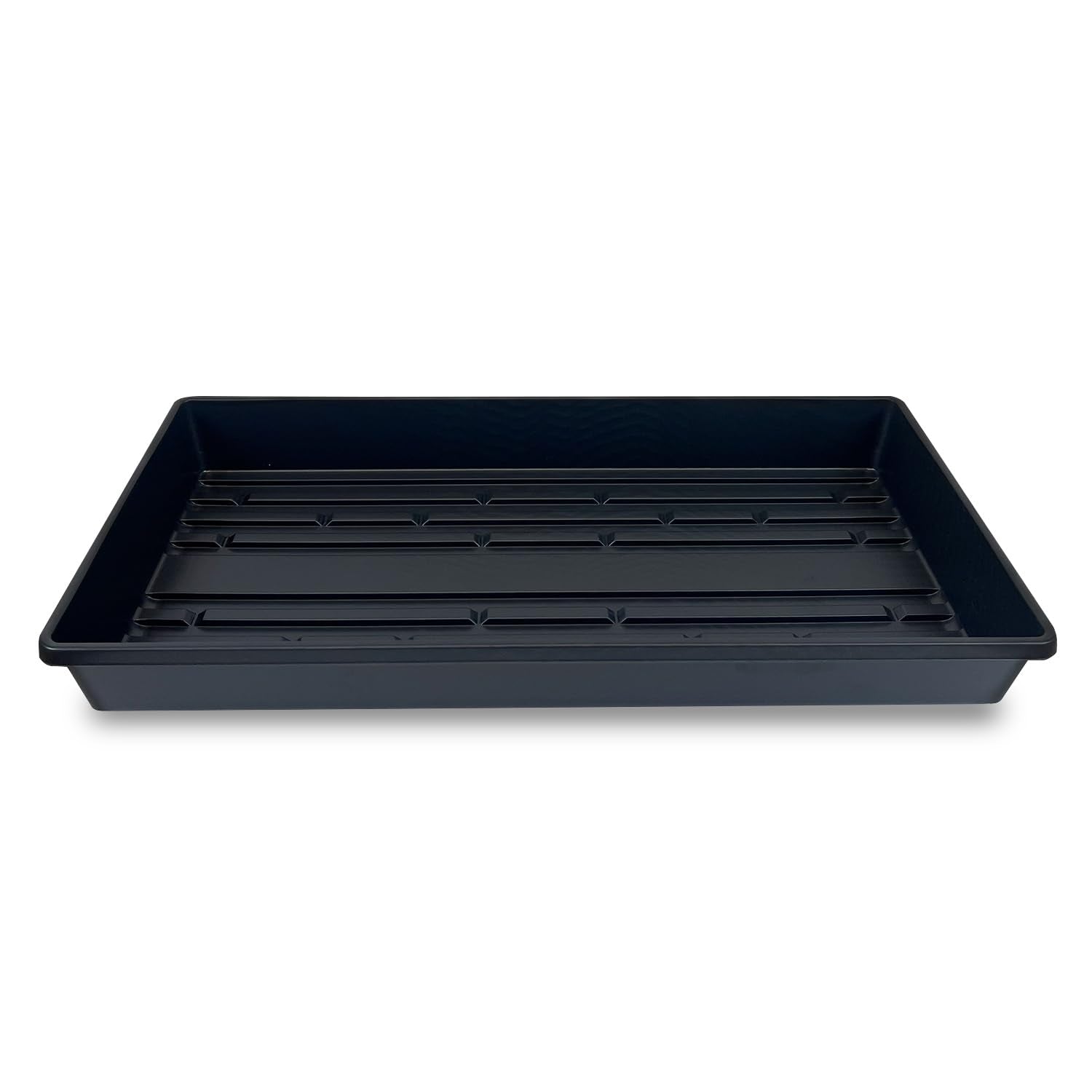 Living Whole Foods 5-pack drain-hole-free trays, top view ideal for seed starting.