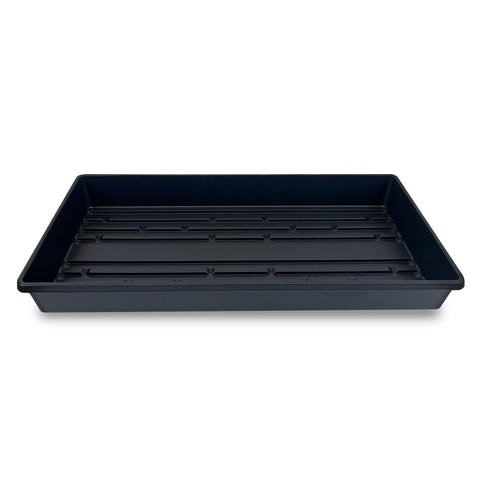 Living Whole Foods 5-pack drain-hole-free trays, top view ideal for seed starting.