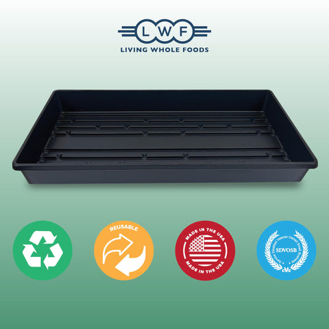 Living Whole Foods reusable trays ideal for wheatgrass and microgreens.