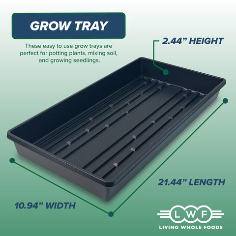 Living Whole Foods plant trays side view showing depth for seedlings.