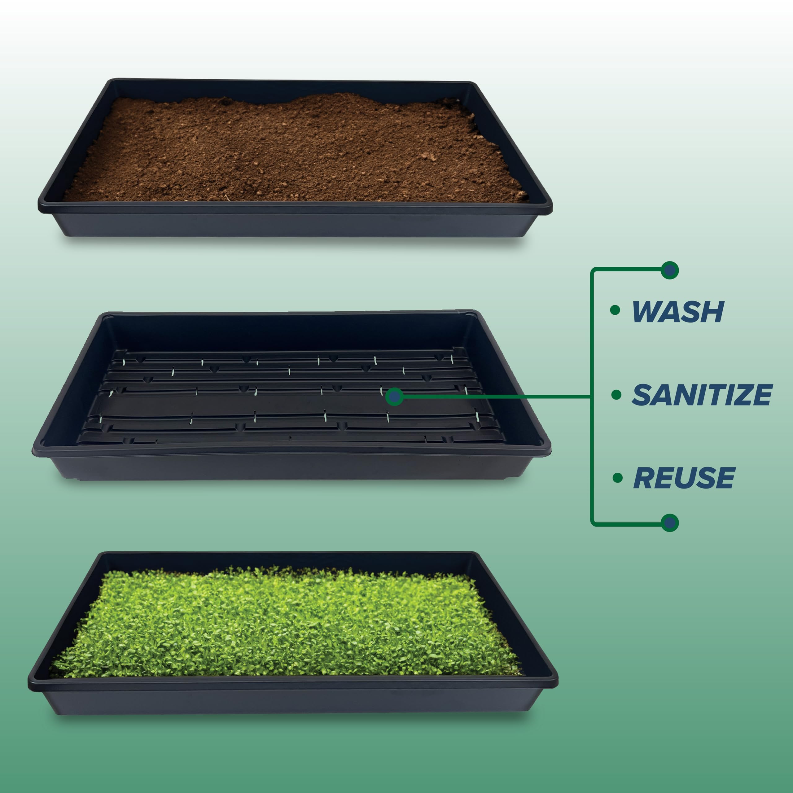 Living Whole Foods microgreens trays fit 20x10 setup for compact harvests.