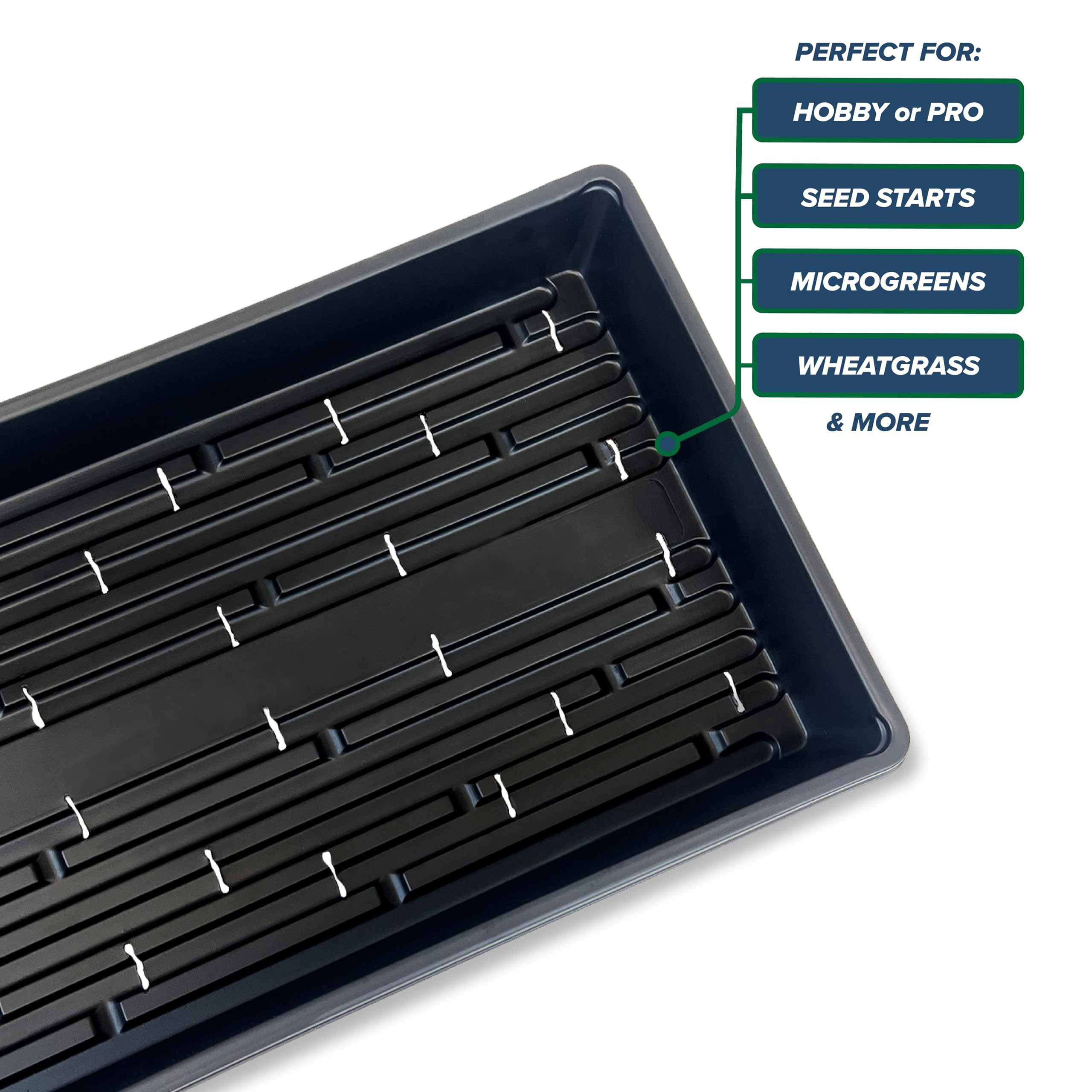 Living Whole Foods wheatgrass trays in 20x10 for home harvests.