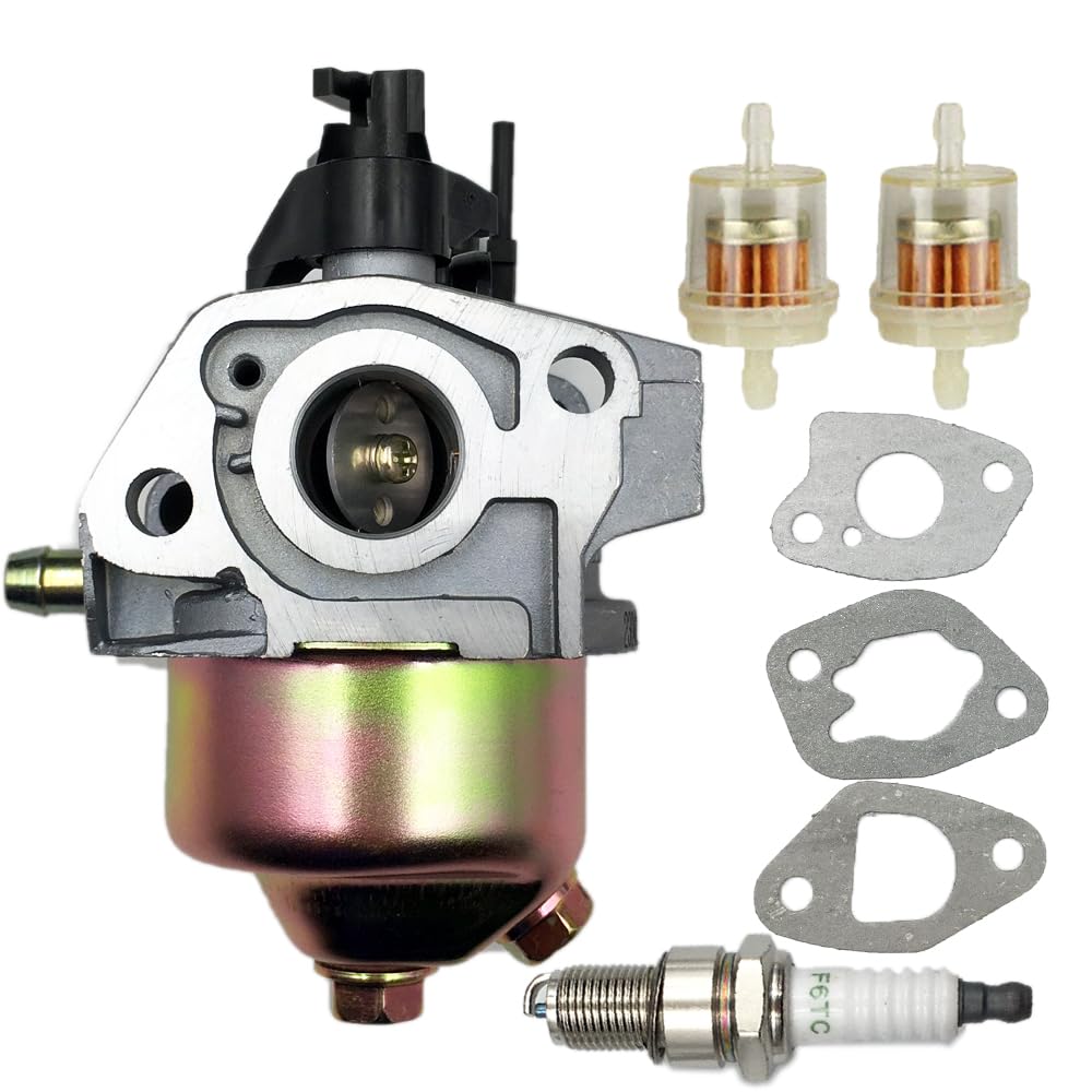 Lizapus Huayi carburetor kit image, showing complete replacement package.
