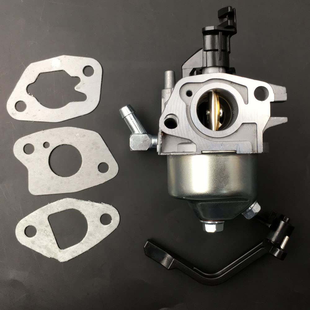 Lizapus Huayi carburetor model 917299010-917299011 details.