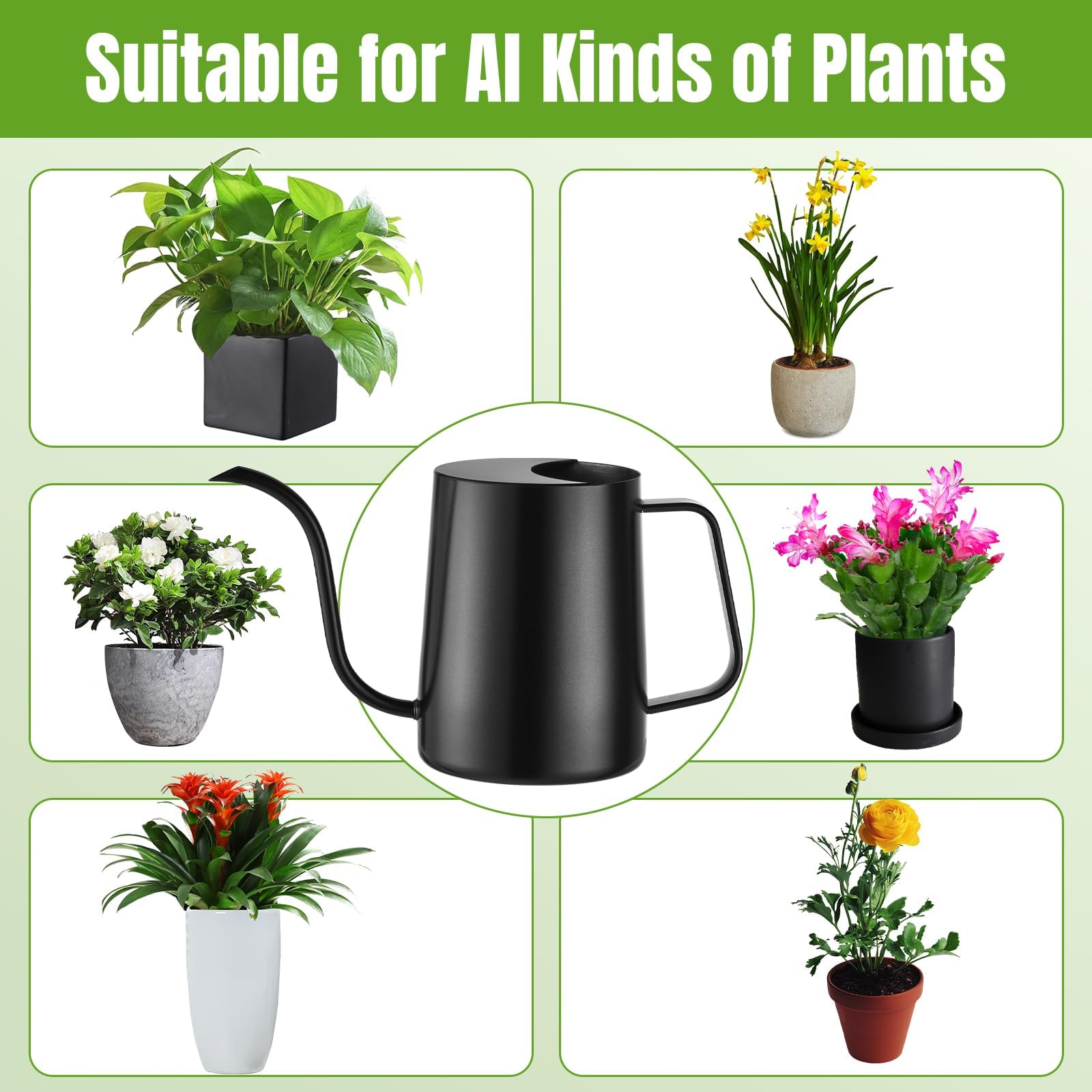 Lizhluzh 34 oz capacity watering can with Teflon coating for durability.