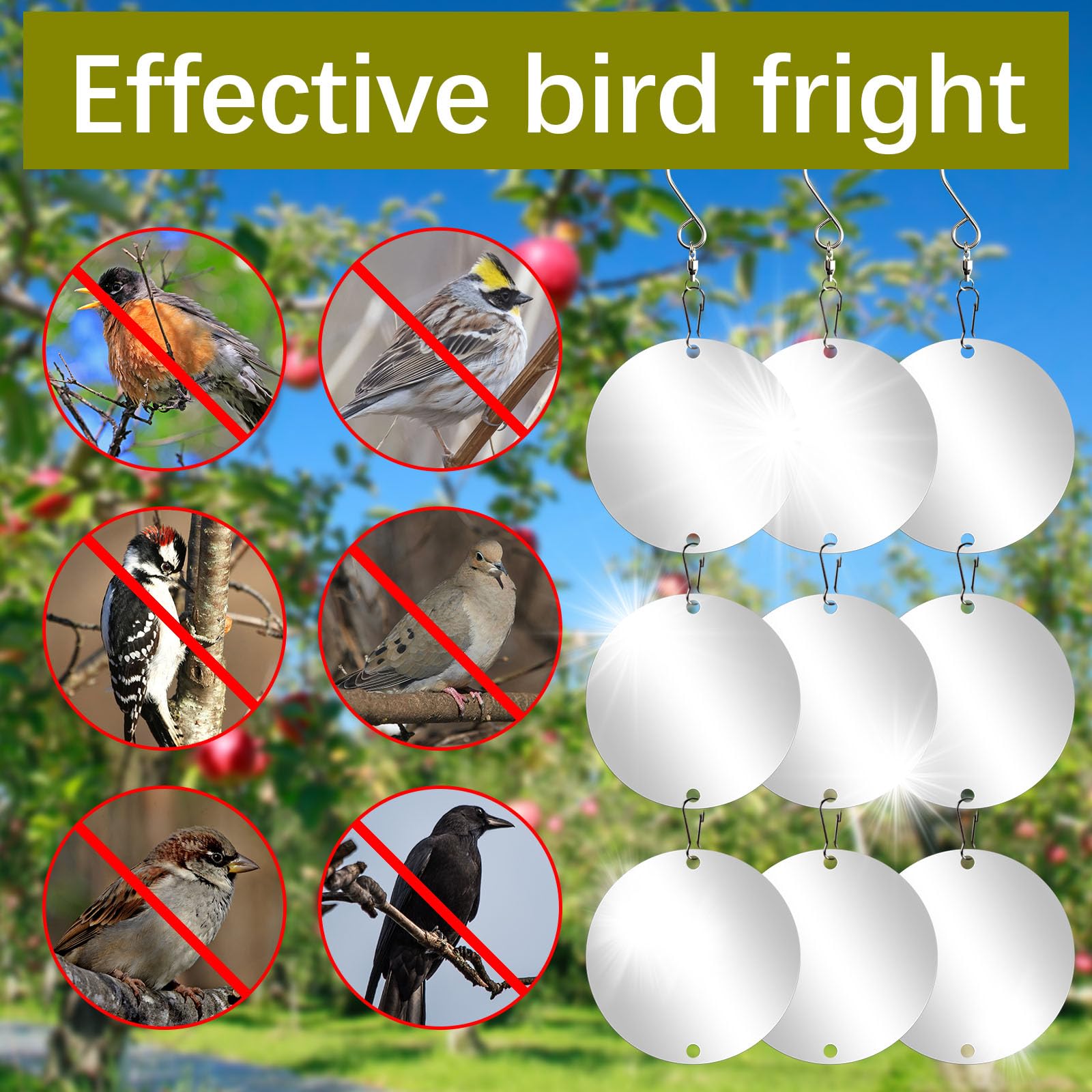 LIZOIDZSM mirror reflective discs boost effectiveness in bright sun for bird deterrence.