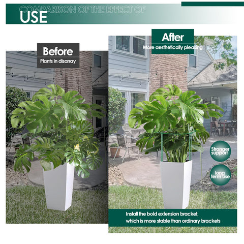 LKSSZS border-use stake arrangement around a plant bed for neat edges.