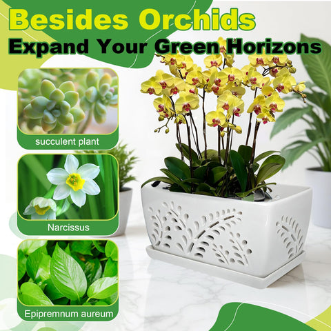 LKSSZS lightweight pot enables easy repotting and daily care