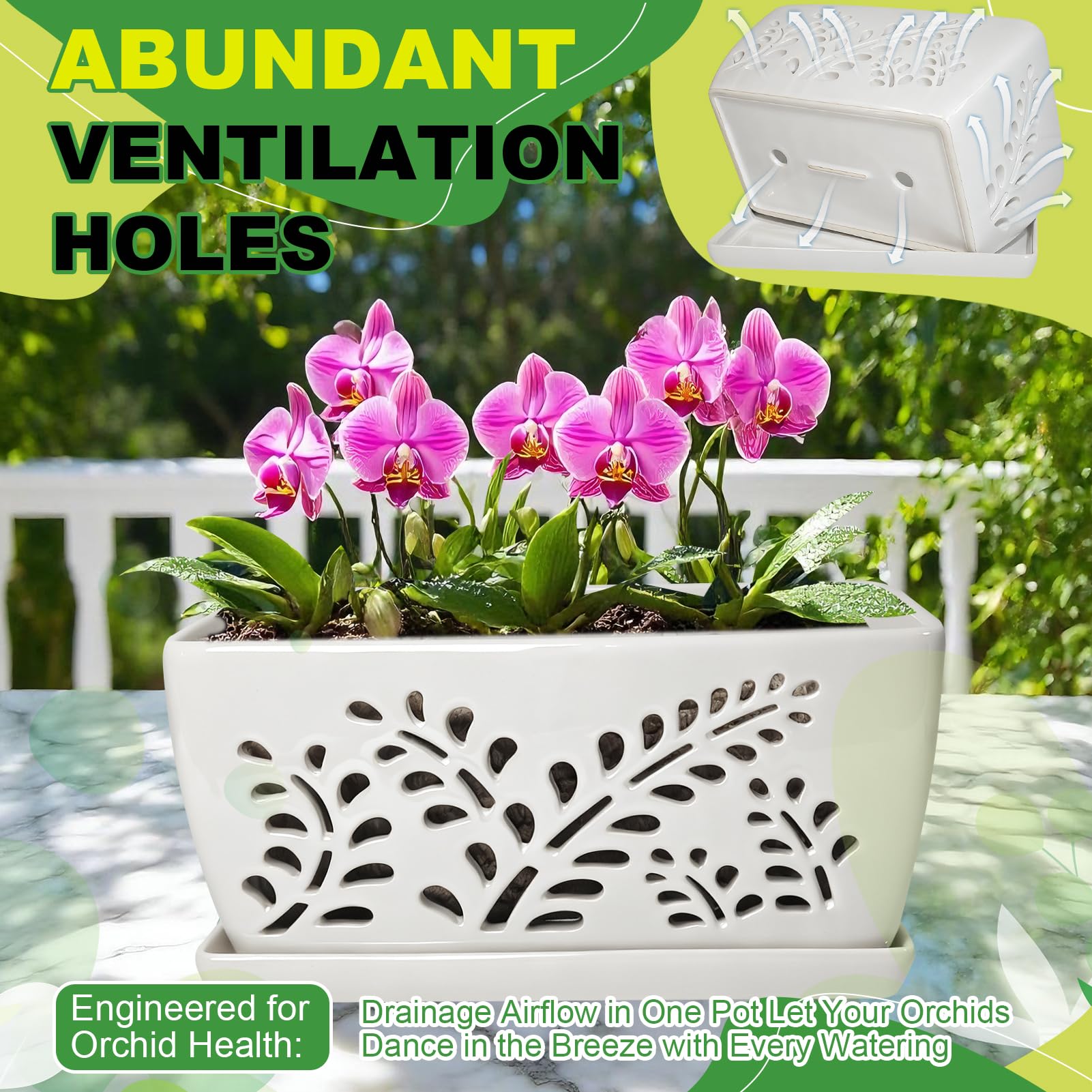 LKSSZS modern style orchid pot complements any room or balcony