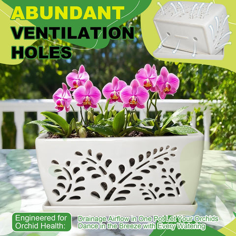 LKSSZS modern style orchid pot complements any room or balcony